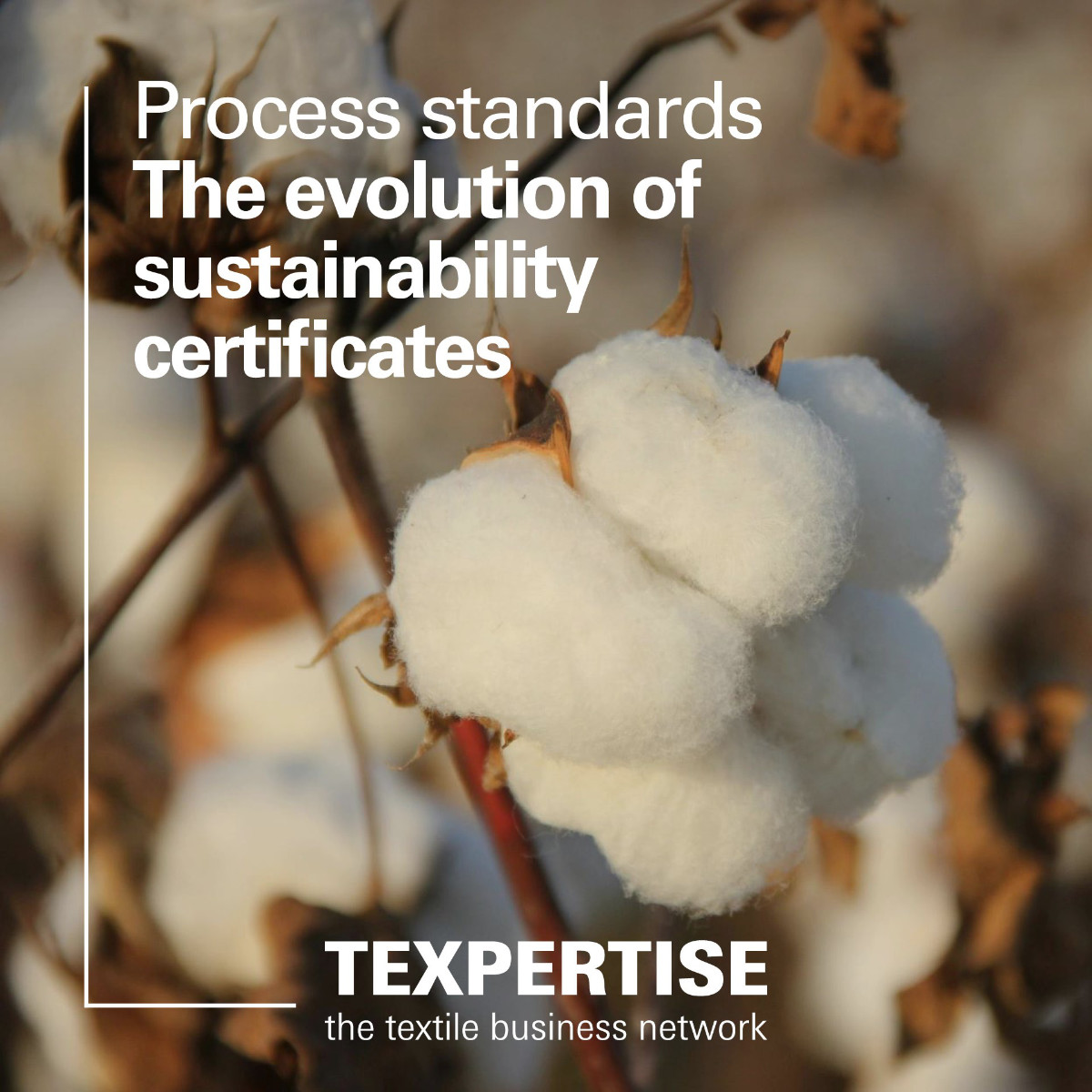 txp-econogy-process-standards-teaser